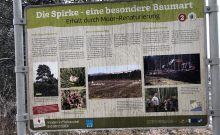 Seerundweg Soier See mit Barfußpfad, Moorlehrpfad, Vogellehrpfad - ©Angelika Herrmann Seerundweg Soier See mit Barfußpfad, Moorlehrpfad, Vogellehrpfad - ©Angelika Herrmann