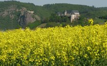 Evangelische Familienferien- und Bildungsstätte Ebernburg - Ebernburg-Verein e.V. Evangelische Familienferien- und Bildungsstätte Ebernburg - Ebernburg-Verein e.V.