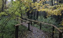 Naturpark Schwalm-Nette · Ölmühlen-Pfad - ©Marina Rochel Naturpark Schwalm-Nette · Ölmühlen-Pfad - ©Marina Rochel
