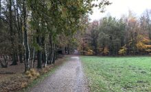 Naturpark Schwalm-Nette · Gagelmoor-Pfad - ©Marina Rochel