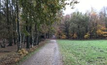 Naturpark Schwalm-Nette · Gagelmoor-Pfad - ©Marina Rochel Naturpark Schwalm-Nette · Gagelmoor-Pfad - ©Marina Rochel