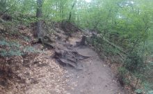 Romantisches Furlbachtal - Biologische Station Kreis Paderborn - Senne - ©Benjamin Suthe Romantisches Furlbachtal - Biologische Station Kreis Paderborn - Senne - ©Benjamin Suthe