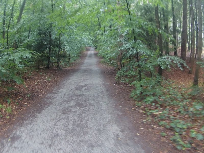 Planetenwanderweg (Vitalwanderweg) Bad Lippspringe
