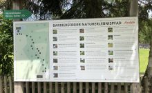 Naturerlebnispfad Moor Safari - ©Angelika Herrmann Naturerlebnispfad Moor Safari - ©Angelika Herrmann