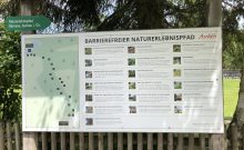 Naturerlebnispfad Moor Safari - ©Angelika Herrmann Naturerlebnispfad Moor Safari - ©Angelika Herrmann