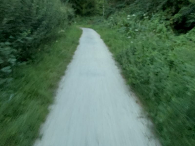 PaderWanderung- Biologische Station Kreis Paderborn - Senne