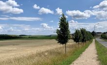 Komfort-Weg Ammeldingen bei Neuerburg - ©Naturpark Südeifel/Ansgar Dondelinger Komfort-Weg Ammeldingen bei Neuerburg - ©Naturpark Südeifel/Ansgar Dondelinger