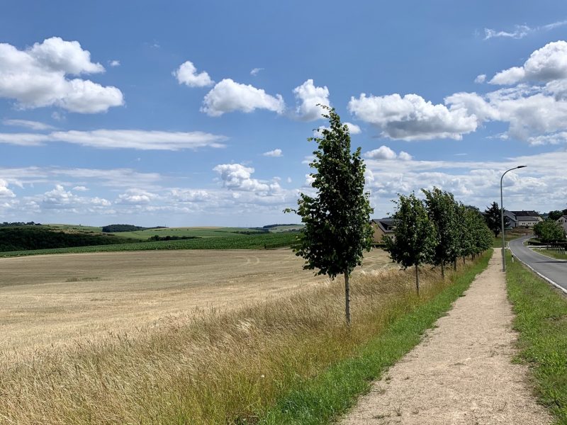Komfort-Weg Ammeldingen bei Neuerburg