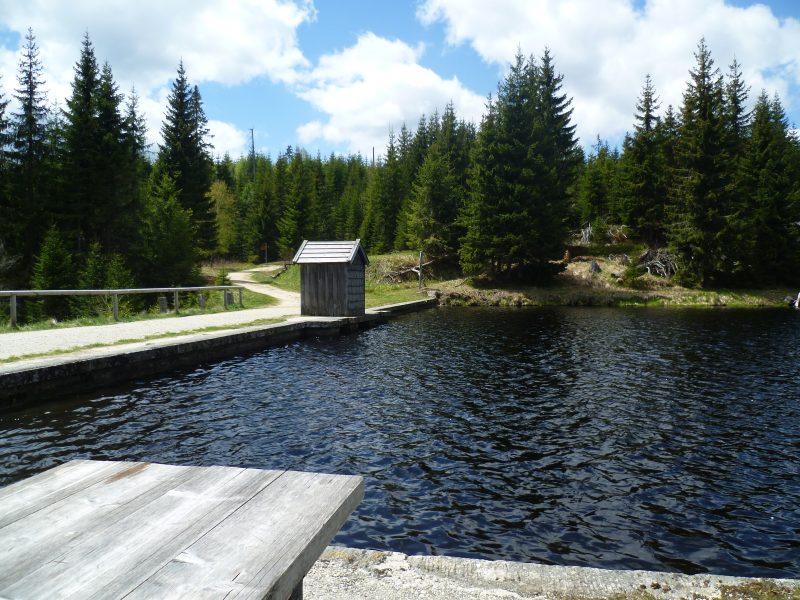 Wanderweg zur Reschbachklause