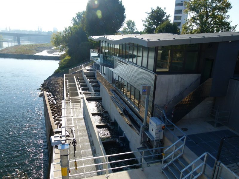 Mosellum - Erlebniswelt Fischpass Koblenz