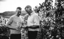Weingut & Brennerei Peter Greif - ©Peter Greif Weingut & Brennerei Peter Greif - ©Peter Greif