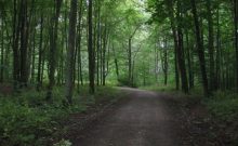 Wanderweg Colmberg Wanderweg Colmberg