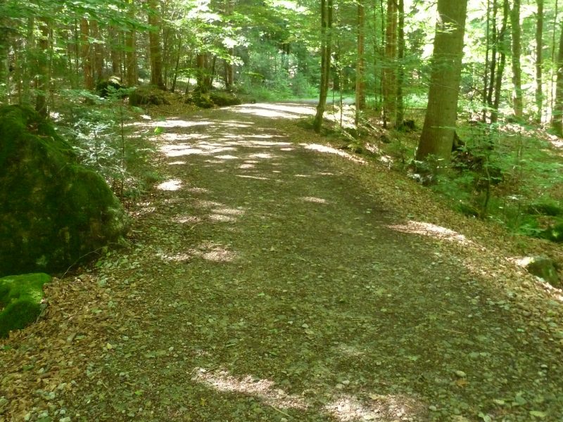Rundwanderweg Ameise