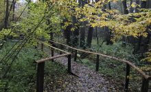 Naturpark Schwalm-Nette · Ölmühlen-Pfad - ©Marina Rochel Naturpark Schwalm-Nette · Ölmühlen-Pfad - ©Marina Rochel