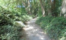 Rundweg um den Laacher See - Teilstück vom Kloster bis Blockhaus/Campingplatz Rundweg um den Laacher See - Teilstück vom Kloster bis Blockhaus/Campingplatz