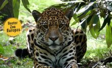 Zoo Rostock Zoo Rostock