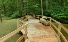 Waldpromenade am Baumkronenpfad im Nationalpark Hainich Waldpromenade am Baumkronenpfad im Nationalpark Hainich