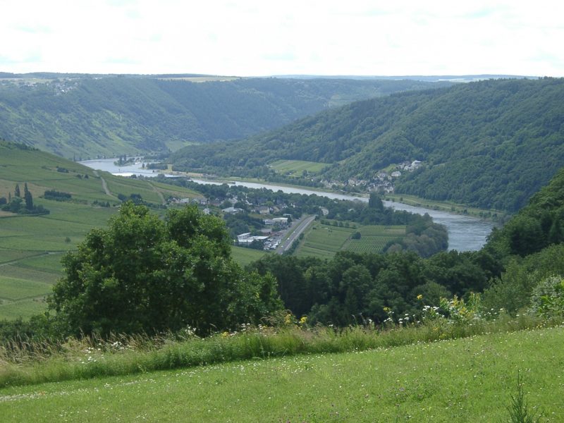 Ferienhaus Moselblick 35