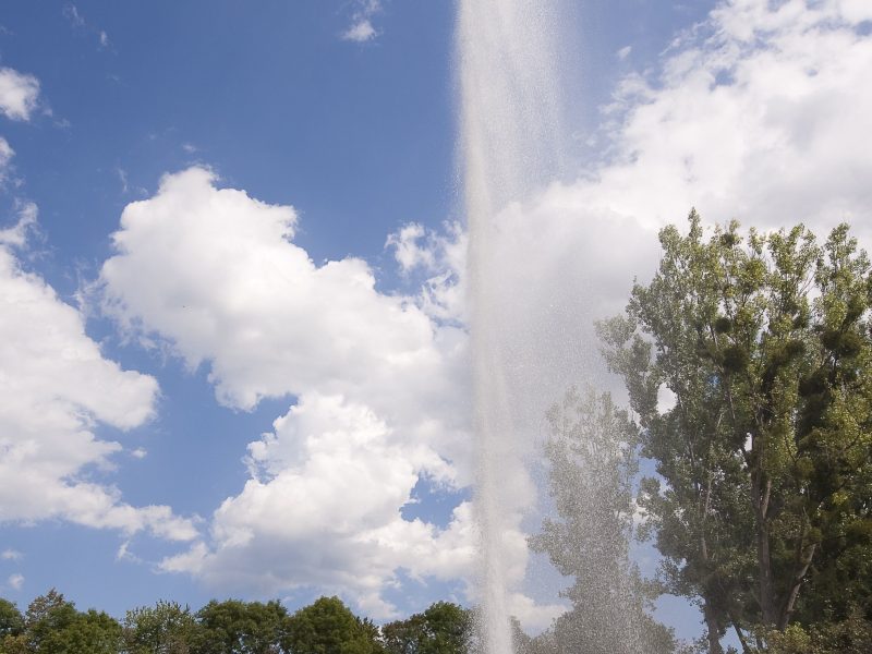 Geysir Andernach