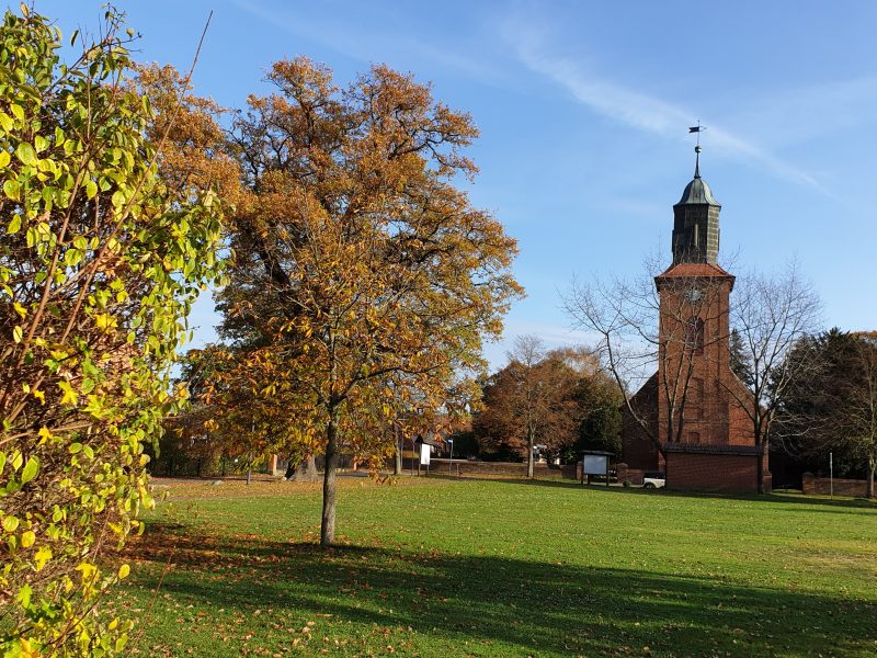 Rundgang durch das Europäische Storchendorf Rühstädt