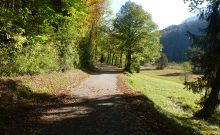 Rundweg im Faulenbacher Tal - ©Denise Moosburger Rundweg im Faulenbacher Tal - ©Denise Moosburger