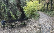 Naturpark Schwalm-Nette · Holtmühlen-Pfad Naturpark Schwalm-Nette · Holtmühlen-Pfad