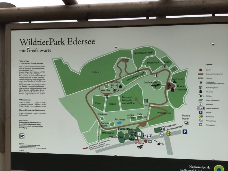 WildtierPark Edersee mit Bericher Hütte