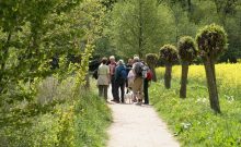 Naturerlebnispfad Guttauer Teiche & Olbasee - ©Hering, Bodo - SBS Naturerlebnispfad Guttauer Teiche & Olbasee - ©Hering, Bodo - SBS