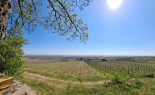 Wanderweg "Bildstöcke und Flurkreuze" - ©Rheinland-Pfalz Tourismus GmbH