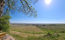 Wanderweg "Bildstöcke und Flurkreuze" - ©Rheinland-Pfalz Tourismus GmbH Wanderweg "Bildstöcke und Flurkreuze" - ©Rheinland-Pfalz Tourismus GmbH
