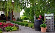 Weingut Paulinenhof Weingut Paulinenhof