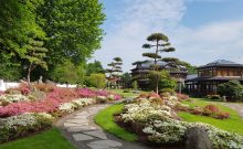 Japanischer Garten - ©KTL Kur und Tourismus Bad Langensalza GmbH