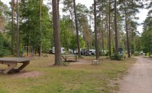 Waldcamping Olympiasee - ©Manuela Fischer Waldcamping Olympiasee - ©Manuela Fischer