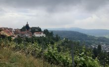 Panoramaweg für Rollstuhlfahrende in Winnenden-Bürg WN10 - ©Heike Funk Panoramaweg für Rollstuhlfahrende in Winnenden-Bürg WN10 - ©Heike Funk