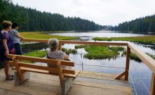 Rundwanderweg um den Großen Arbersee - ©©Johannes Matt - Naturpark Bayerischer Wald Rundwanderweg um den Großen Arbersee - ©©Johannes Matt - Naturpark Bayerischer Wald