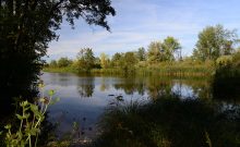 Biesenweiher  - ©Thomas Gretler