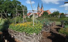 Klostergarten - ©Frank Boxler Klostergarten - ©Frank Boxler