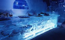 Eisbar Eisbar