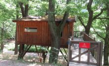Baumhaushotel Wipfelglück Baumhaushotel Wipfelglück