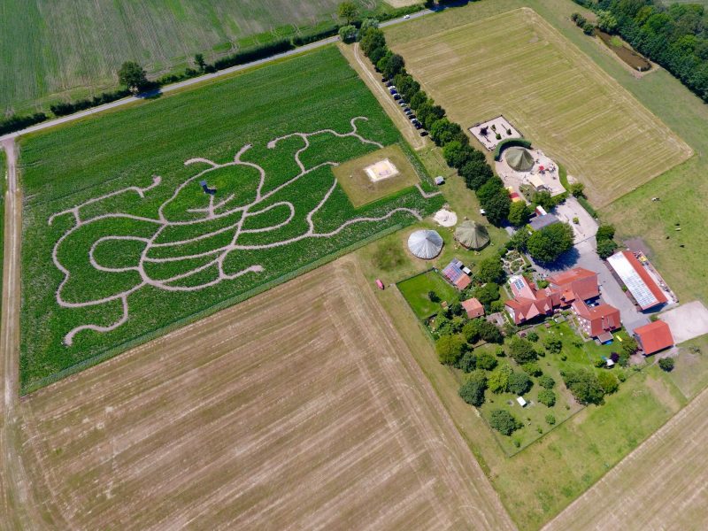 Zwillbrock Irrgarten - ©Familie Beuting