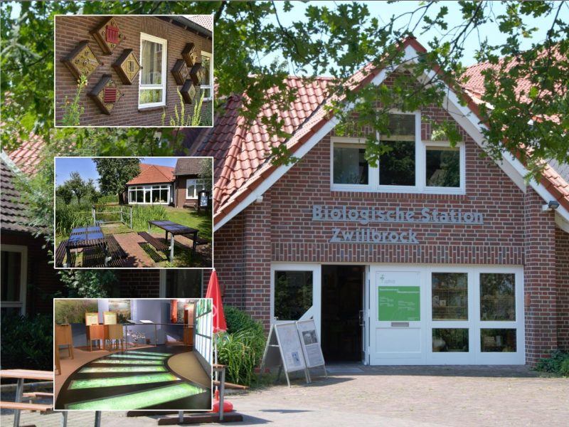 Besucherzentrum Biologische Station Zwillbrock - ©Christoph Rückriem Das Besucherzentrum der Biologischen Station Zwillbrock - ©Christoph Rückriem