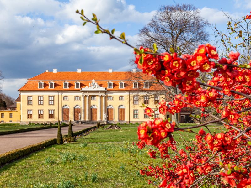 Bild von Schloss und Schlosspark Mosigkau im Gartenreich Dessau-Wörlitz - ©Photographer: P. Dafinger