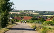 Rundweg im Naherholungsgebiet am Huckenhof - ©Thea Weiskopf Rundweg im Naherholungsgebiet am Huckenhof - ©Thea Weiskopf