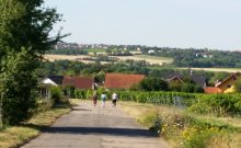 Rundweg im Naherholungsgebiet am Huckenhof - ©Thea Weiskopf