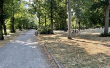 Volkspark Humboldthain - ©Benjamin Suthe (DSFT) Volkspark Humboldthain - ©Benjamin Suthe (DSFT)