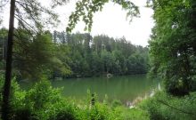 Herrenbachtal Weg - ©Heike Funk