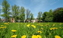 TRIHOTEL am Schweizer Wald TRIHOTEL am Schweizer Wald