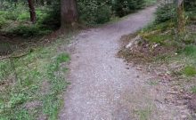 Märchenwanderweg Bischofsgrün Märchenwanderweg Bischofsgrün