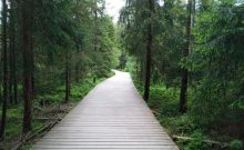 Rundwanderweg um den Fichtelsee - ©Julia Marmulla Rundwanderweg um den Fichtelsee - ©Julia Marmulla